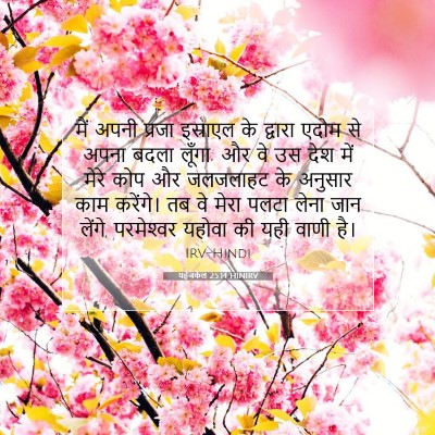 यहेजकेल 25:14 HINIRV बाइबल आयत इमेज
