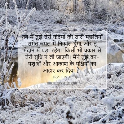 यहेजकेल 29:5 HINIRV बाइबल आयत इमेज