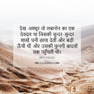 यहेजकेल 31:3 HINIRV बाइबल आयत इमेज