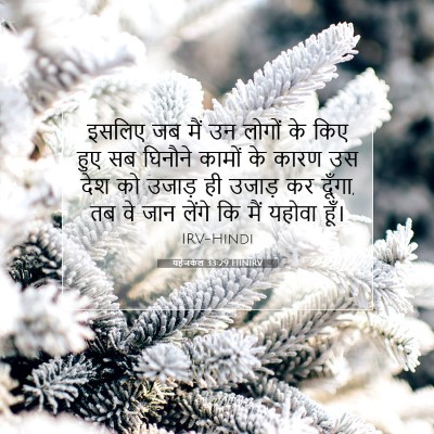 यहेजकेल 33:29 HINIRV बाइबल आयत इमेज