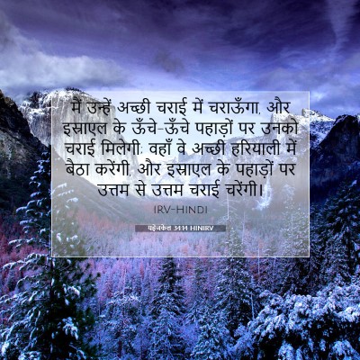 यहेजकेल 34:14 HINIRV बाइबल आयत इमेज