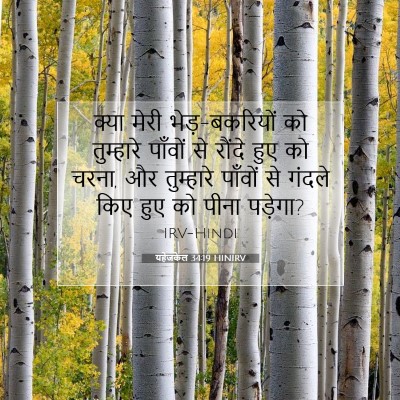 यहेजकेल 34:19 HINIRV बाइबल आयत इमेज