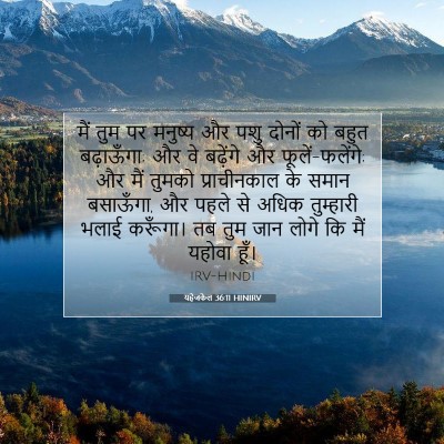 यहेजकेल 36:11 HINIRV बाइबल आयत इमेज