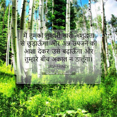 यहेजकेल 36:29 HINIRV बाइबल आयत इमेज