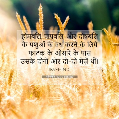 यहेजकेल 40:39 HINIRV बाइबल आयत इमेज