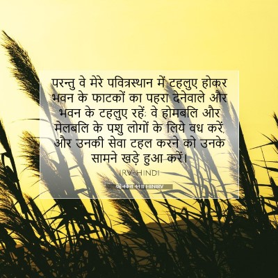 यहेजकेल 44:11 HINIRV बाइबल आयत इमेज