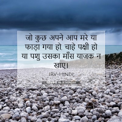 यहेजकेल 44:31 HINIRV बाइबल आयत इमेज