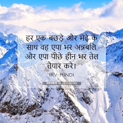 यहेजकेल 45:24 HINIRV बाइबल आयत इमेज