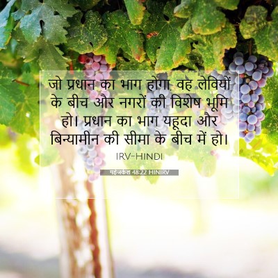 यहेजकेल 48:22 HINIRV बाइबल आयत इमेज