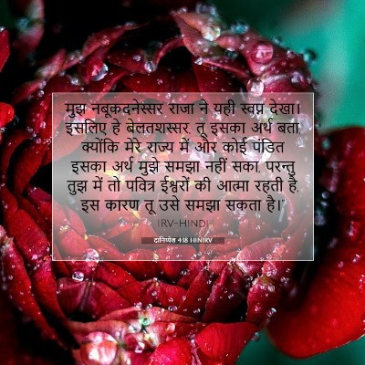 दानिय्येल 4:18 HINIRV बाइबल आयत इमेज