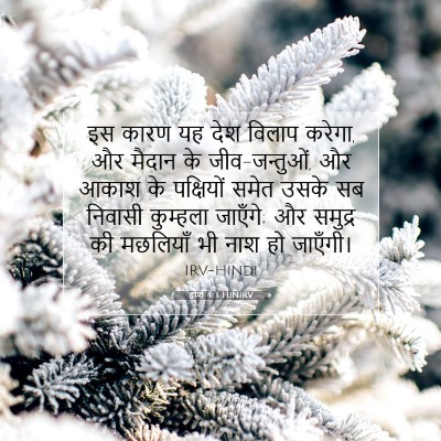 होशे 4:3 HINIRV बाइबल आयत इमेज