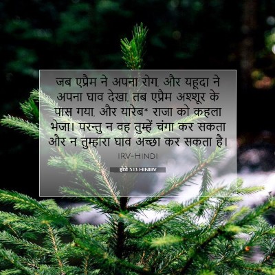 होशे 5:13 HINIRV बाइबल आयत इमेज