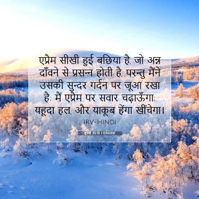 होशे 10:11 बाइबल आयत की व्याख्या