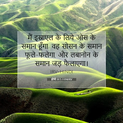 होशे 14:5 HINIRV बाइबल आयत इमेज