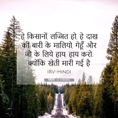 योएल 1:11 बाइबल आयत की व्याख्या