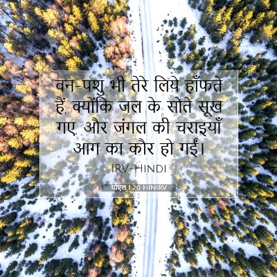 योएल 1:20 बाइबल आयत की व्याख्या
