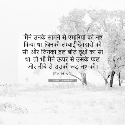 आमोस 2:9 HINIRV बाइबल आयत इमेज