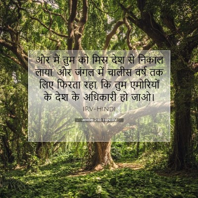 आमोस 2:10 HINIRV बाइबल आयत इमेज