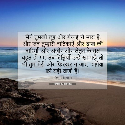 आमोस 4:9 HINIRV बाइबल आयत इमेज