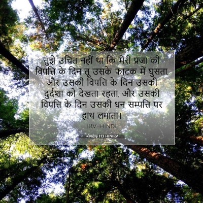 ओबद्याह 1:13 बाइबल आयत की व्याख्या