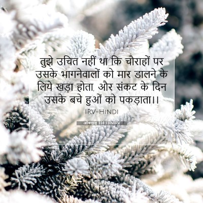 ओबद्याह 1:14 बाइबल आयत की व्याख्या