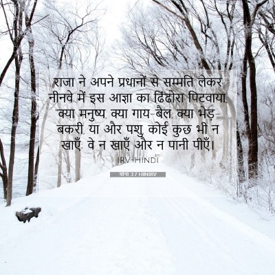 योना 3:7 बाइबल आयत की व्याख्या