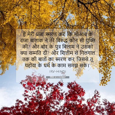 मीका 6:5 HINIRV बाइबल आयत इमेज