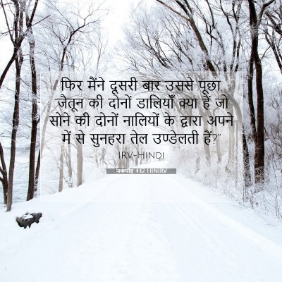 जकर्याह 4:12 बाइबल आयत की व्याख्या