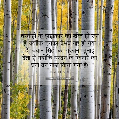 जकर्याह 11:3 बाइबल आयत की व्याख्या