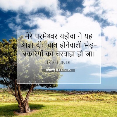जकर्याह 11:4 बाइबल आयत की व्याख्या