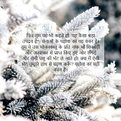 मलाकी 1:13 बाइबल आयत की व्याख्या