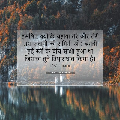 मलाकी 2:14 HINIRV बाइबल आयत इमेज