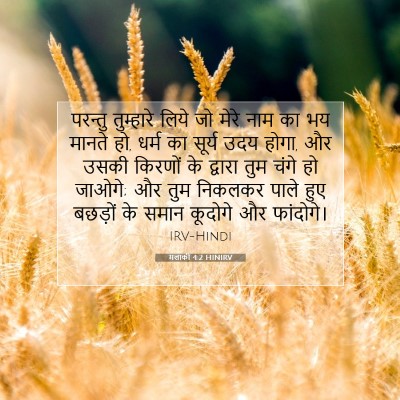मलाकी 4:2 HINIRV बाइबल आयत इमेज