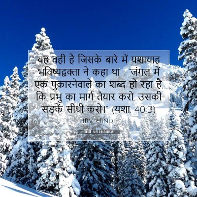मत्ती 3:3 HINIRV बाइबल आयत इमेज