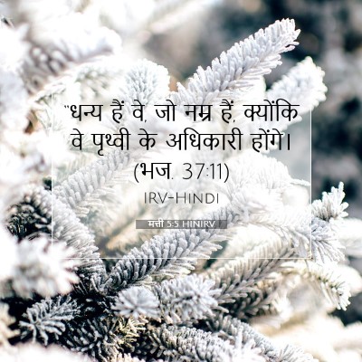 मत्ती 5:5 बाइबल आयत की व्याख्या