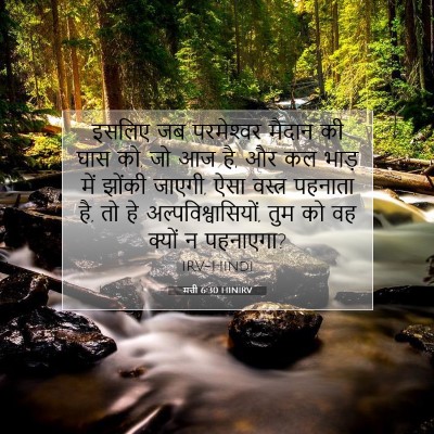 मत्ती 6:30 HINIRV बाइबल आयत इमेज