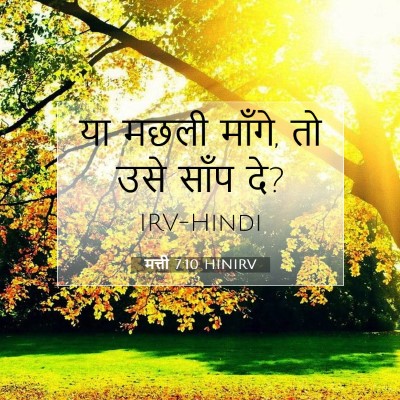 मत्ती 7:10 बाइबल आयत की व्याख्या
