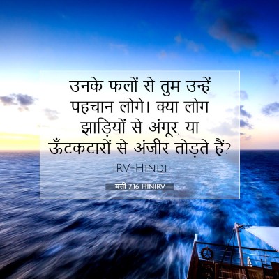 मत्ती 7:16 HINIRV बाइबल आयत इमेज