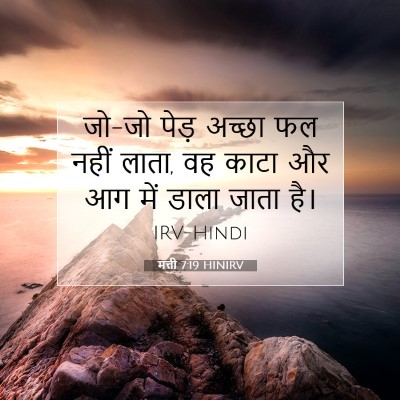 मत्ती 7:19 बाइबल आयत की व्याख्या