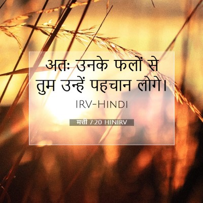 मत्ती 7:20 बाइबल आयत की व्याख्या