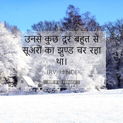 मत्ती 8:30 बाइबल आयत की व्याख्या