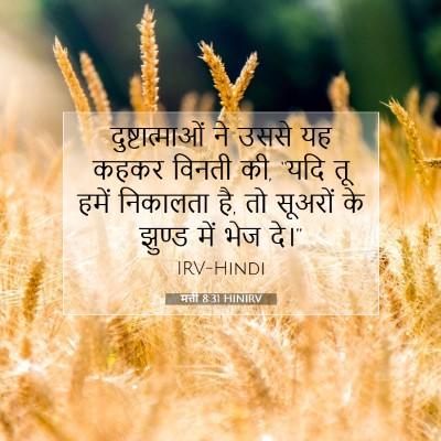 मत्ती 8:31 बाइबल आयत की व्याख्या