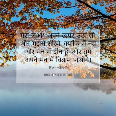 मत्ती 11:29 HINIRV बाइबल आयत इमेज