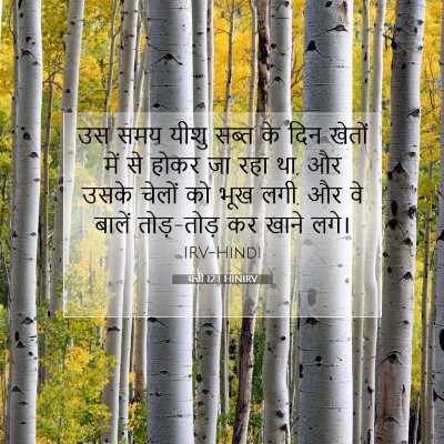 मत्ती 12:1 HINIRV बाइबल आयत इमेज