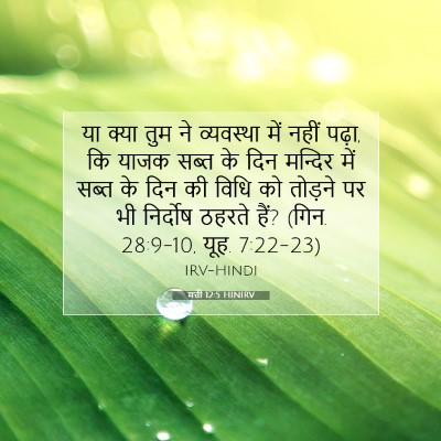 मत्ती 12:5 बाइबल आयत की व्याख्या
