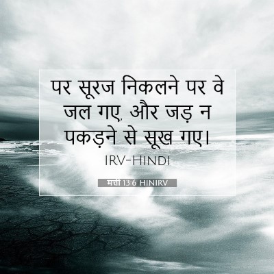 मत्ती 13:6 बाइबल आयत की व्याख्या