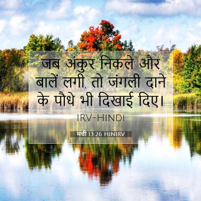 मत्ती 13:26 बाइबल आयत की व्याख्या