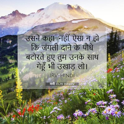 मत्ती 13:29 बाइबल आयत की व्याख्या