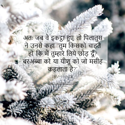 मत्ती 27:17 HINIRV बाइबल आयत इमेज