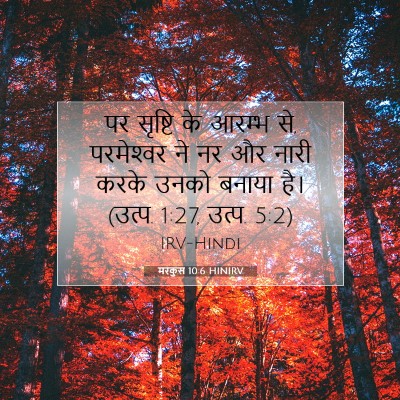 मरकुस 10:6 बाइबल आयत की व्याख्या